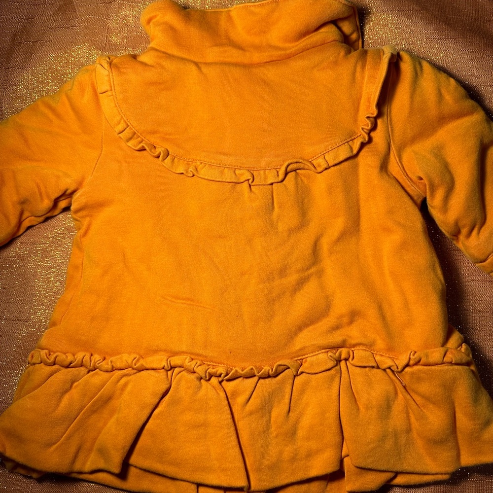 Gymboree Fall Jacket - Picture 4 of 4